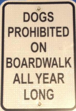 Dogs on the Boardwalk