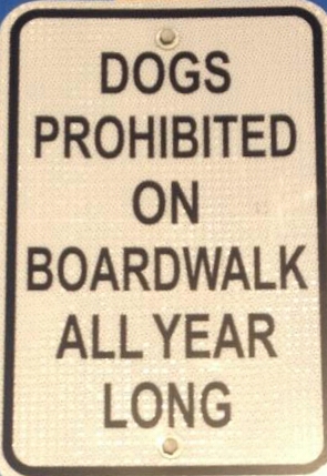 Dogs on the Boardwalk