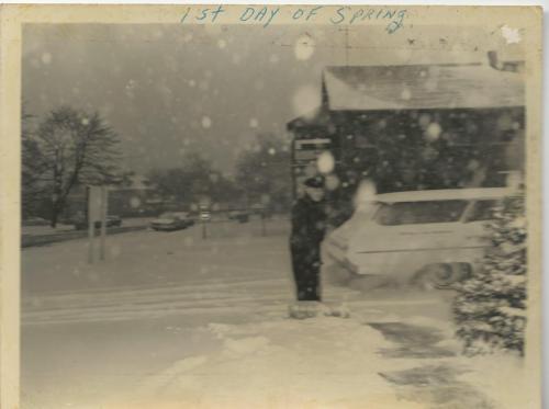 Brown1st day of spring1965